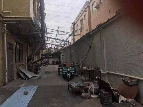 小榄工厂爆料视频,爆料视频背后的真实生产现场  第3张