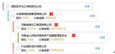 开封龙宇化工最新爆料,揭秘企业神秘面纱  第2张