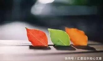 甜瓜的最新爆料文案短句,揭秘娱乐圈最新热点 第3张 甜瓜的最新爆料文案短句,揭秘娱乐圈最新热点 第3张