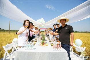 卓尔最新爆料桃花驿,桃花驿神秘面纱背后的传奇故事  第3张